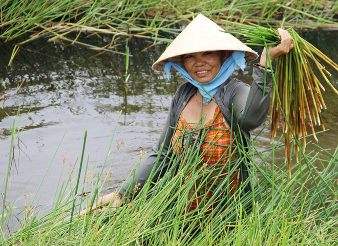 Nhung dac san mien Tay niu chan khach phuong xa hinh anh 7