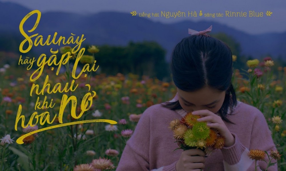 Lời bài hát Sau Này Hãy Gặp Lại Nhau Khi Hoa Nở [Nguyên Hà] [Lyrics Kèm Hợp Âm]