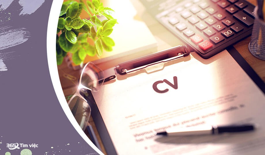 Tích hợp cả CV tiếng anh