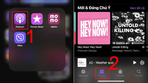 Podcast là gì? Cách sử dụng Podcast trên iPhone, iPad đầy đủ nhất -  Thegioididong.com