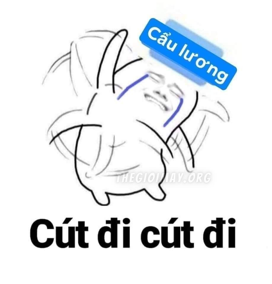 Cẩu lương là gì 4